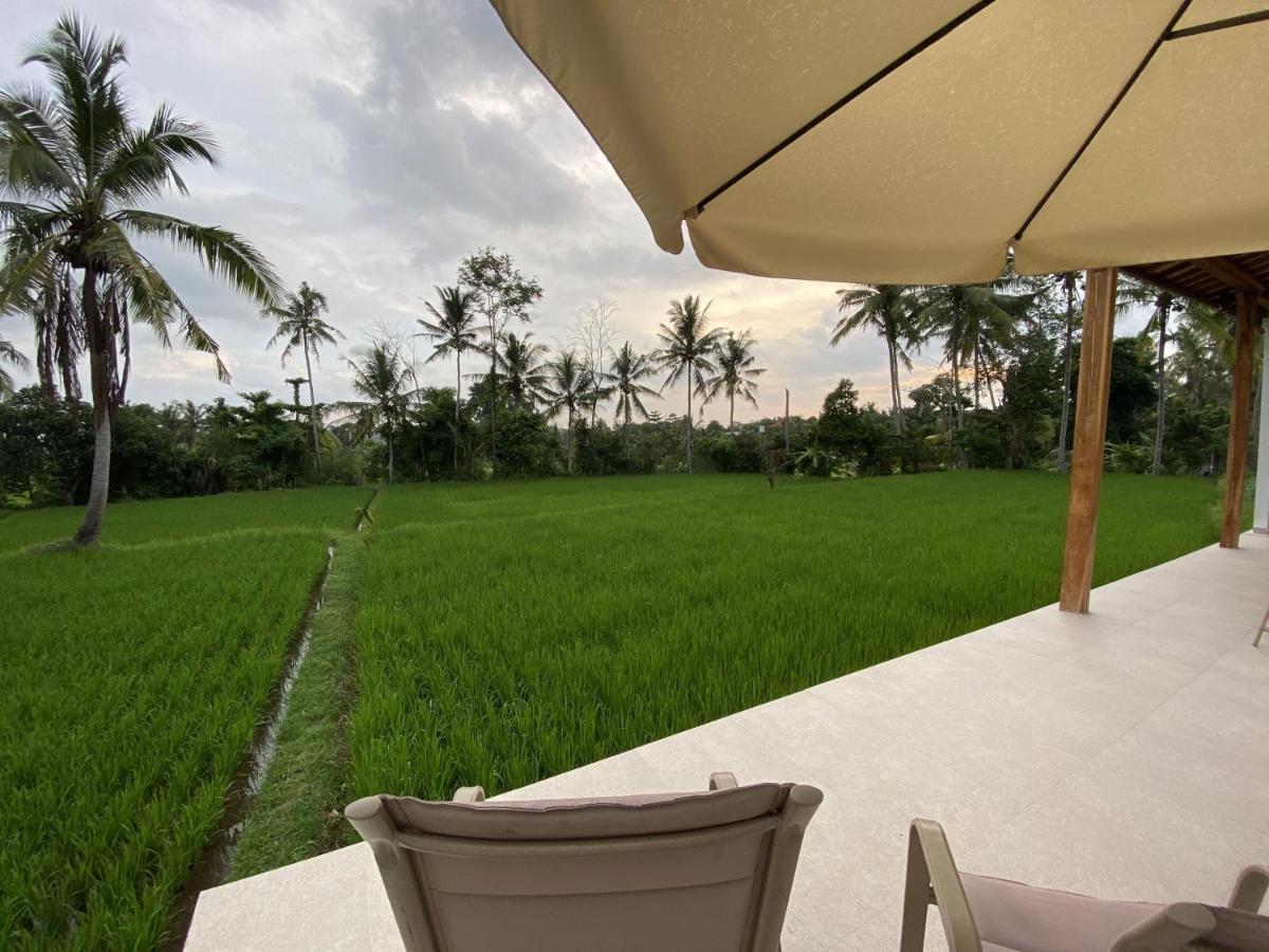 Luxury Villa Ada Padi Ubud One Bed Room Экстерьер фото